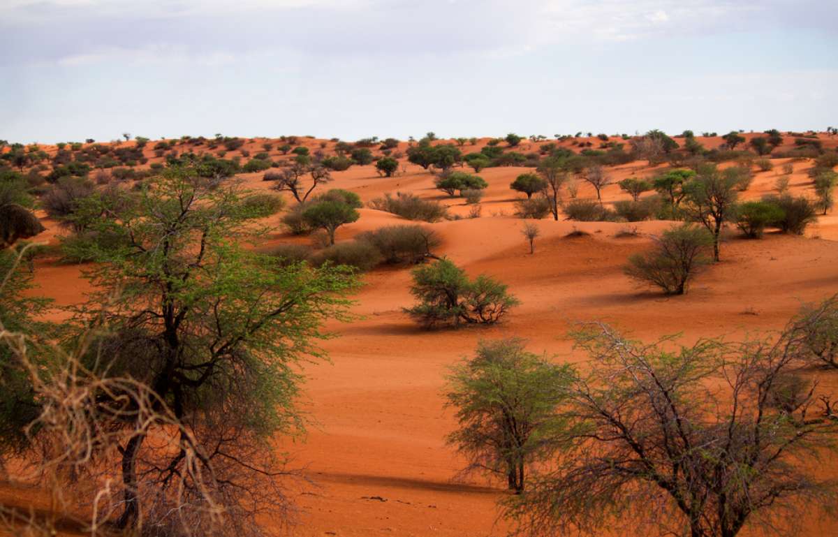 8 Day Kalahari and Namib Desert Self-Drive Safari