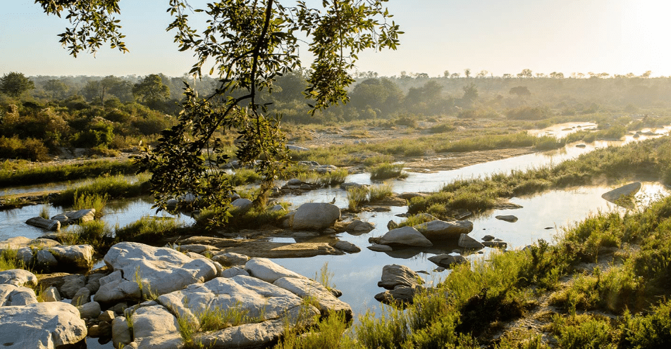sabi sand game reserve