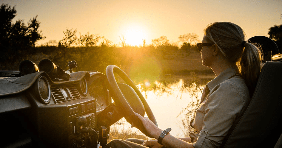sabi sands afternoon game drive