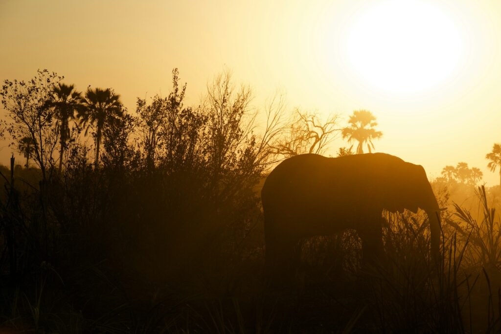 Greater Kruger