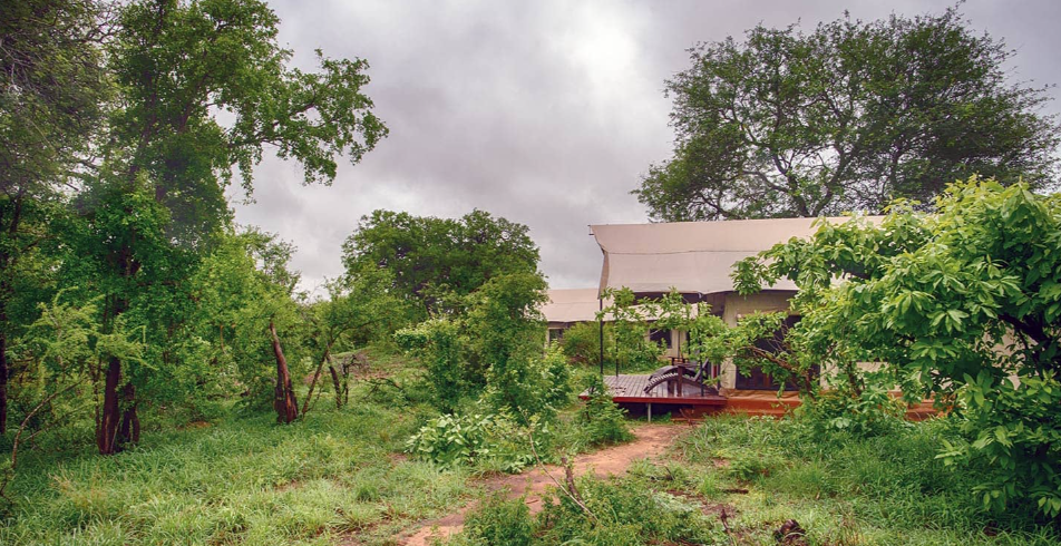 Greater Kruger manyaleti game reserve