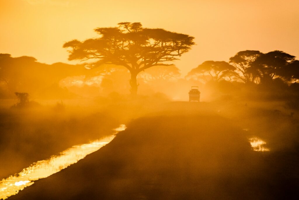 A Typical Day Routine in Manyeleti Game Reserve
