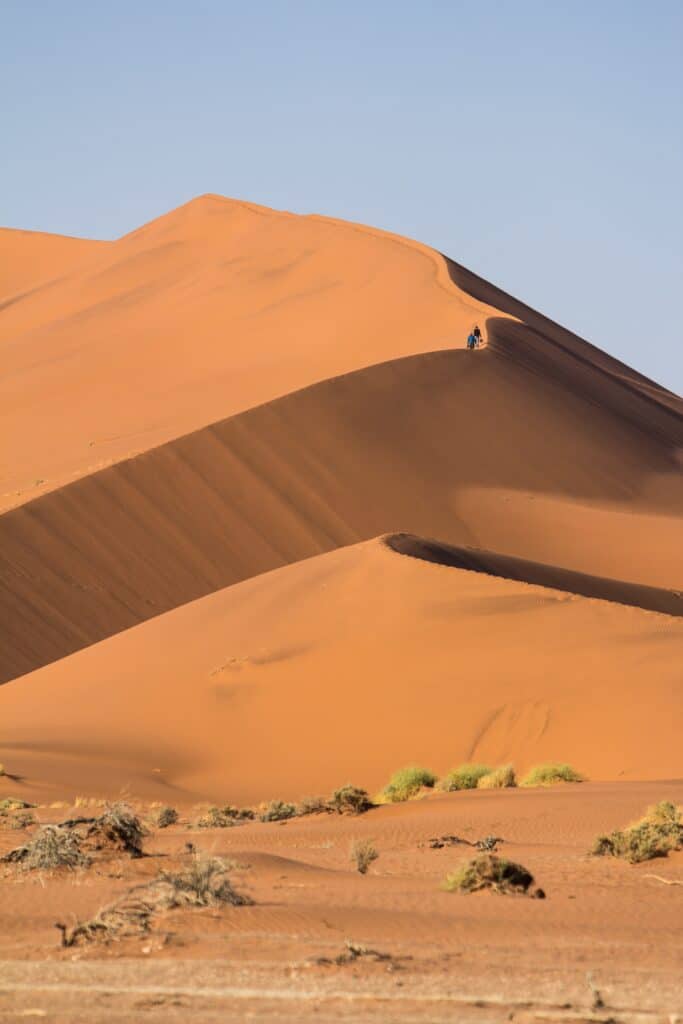 Namibia The Ultimate Guide