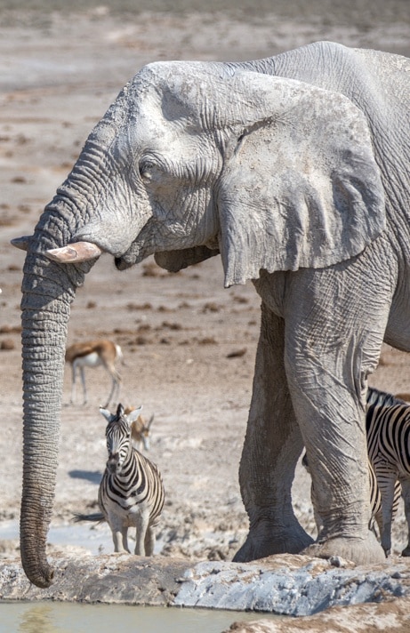Namibia The Ultimate Guide