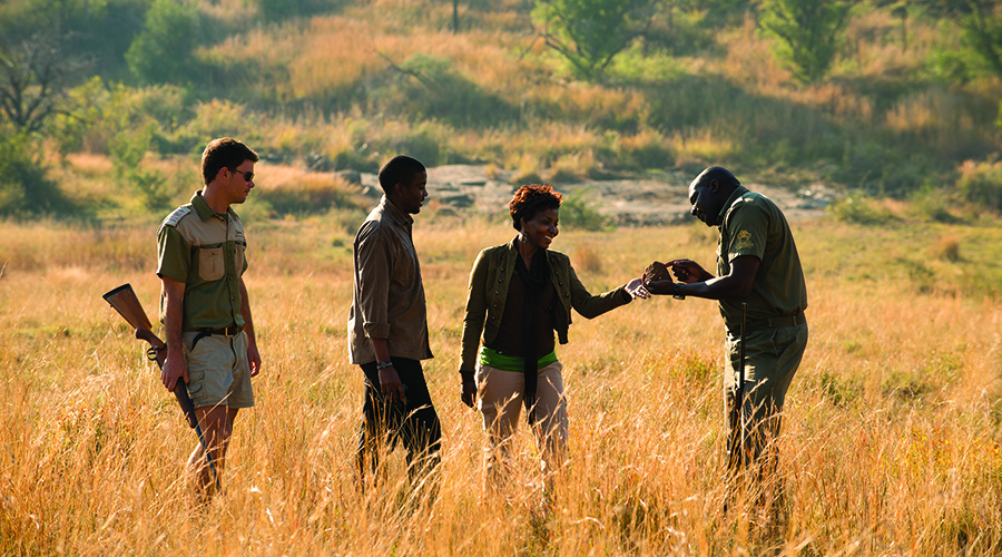 Pilanesberg ultimate guide