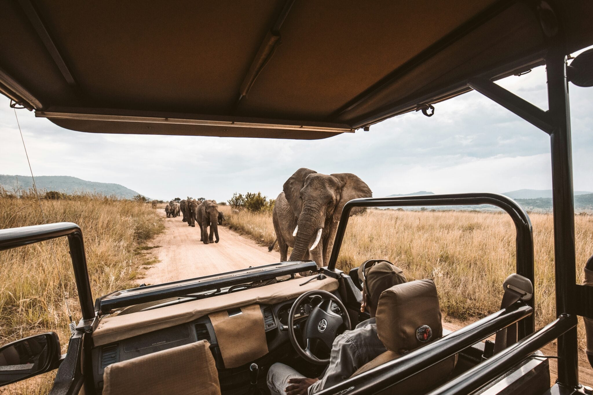 MoAfrika Tours as Your Destination Management Company of Choice
