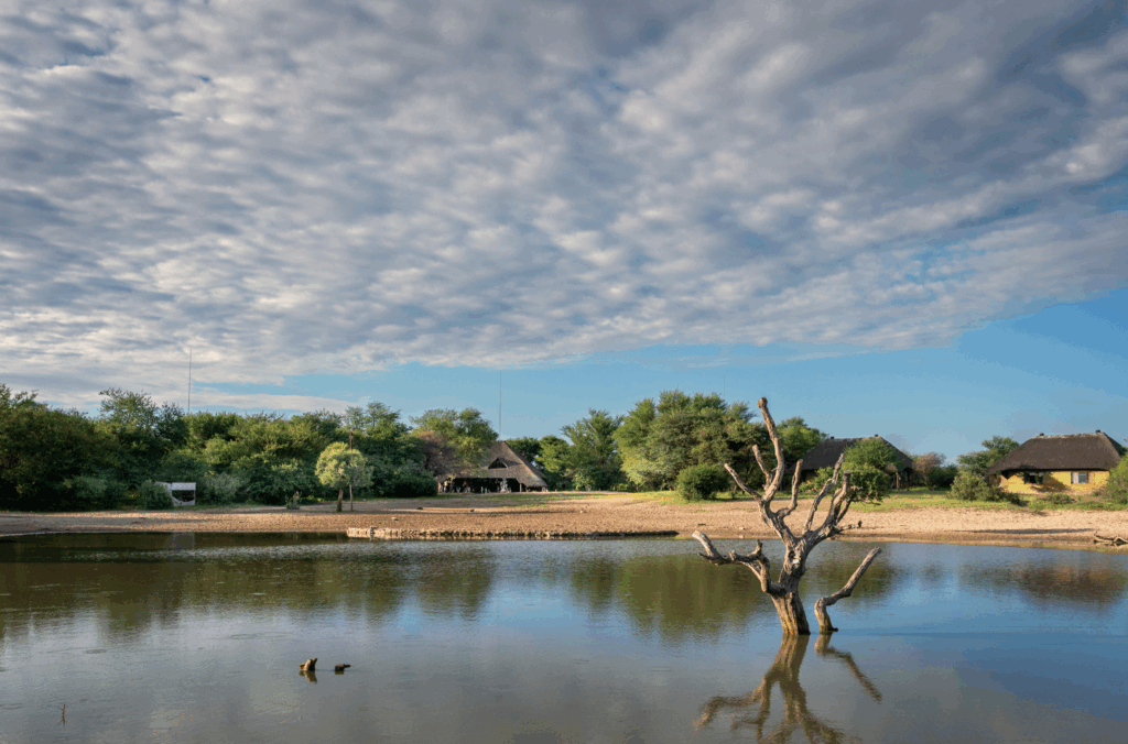 ultimate guide botswana