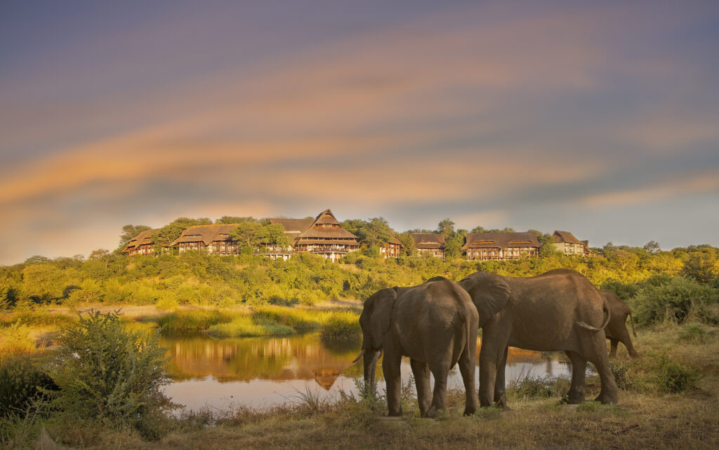 Victoria Falls Elephants