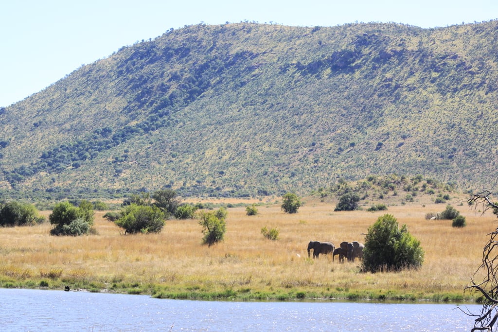 Pilanesberg-3 day