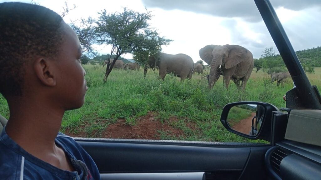 1 day budget Pilanesberg safaris