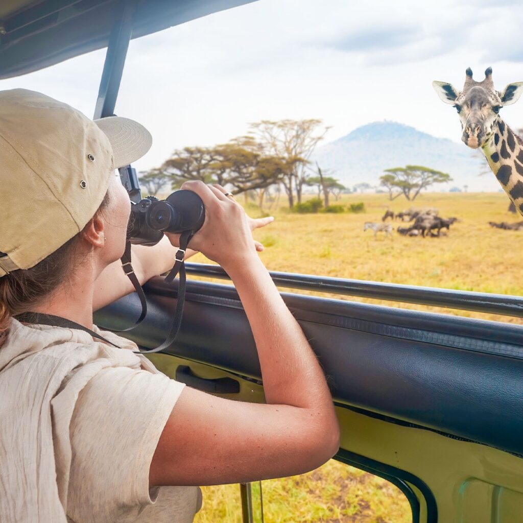 Kruger National Park Safari - vehicle photography