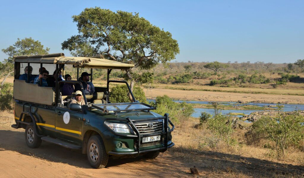 Kruger vs Masai Mara Which National Park is Better