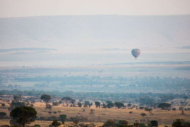 Kruger vs Serengeti Which National Park is Better