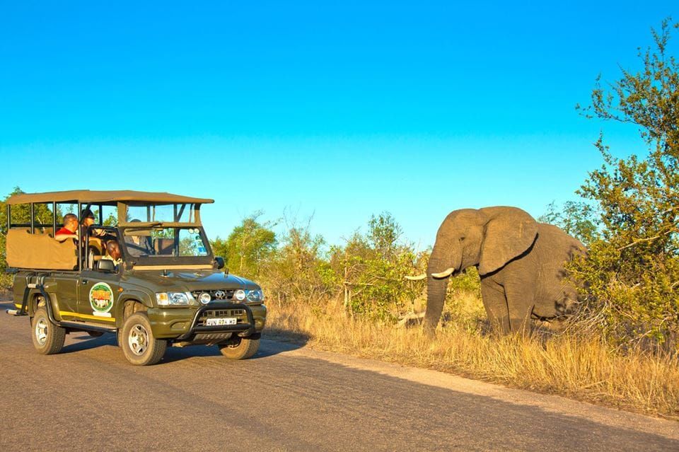 What Months Are The Best For a Safari In Kruger