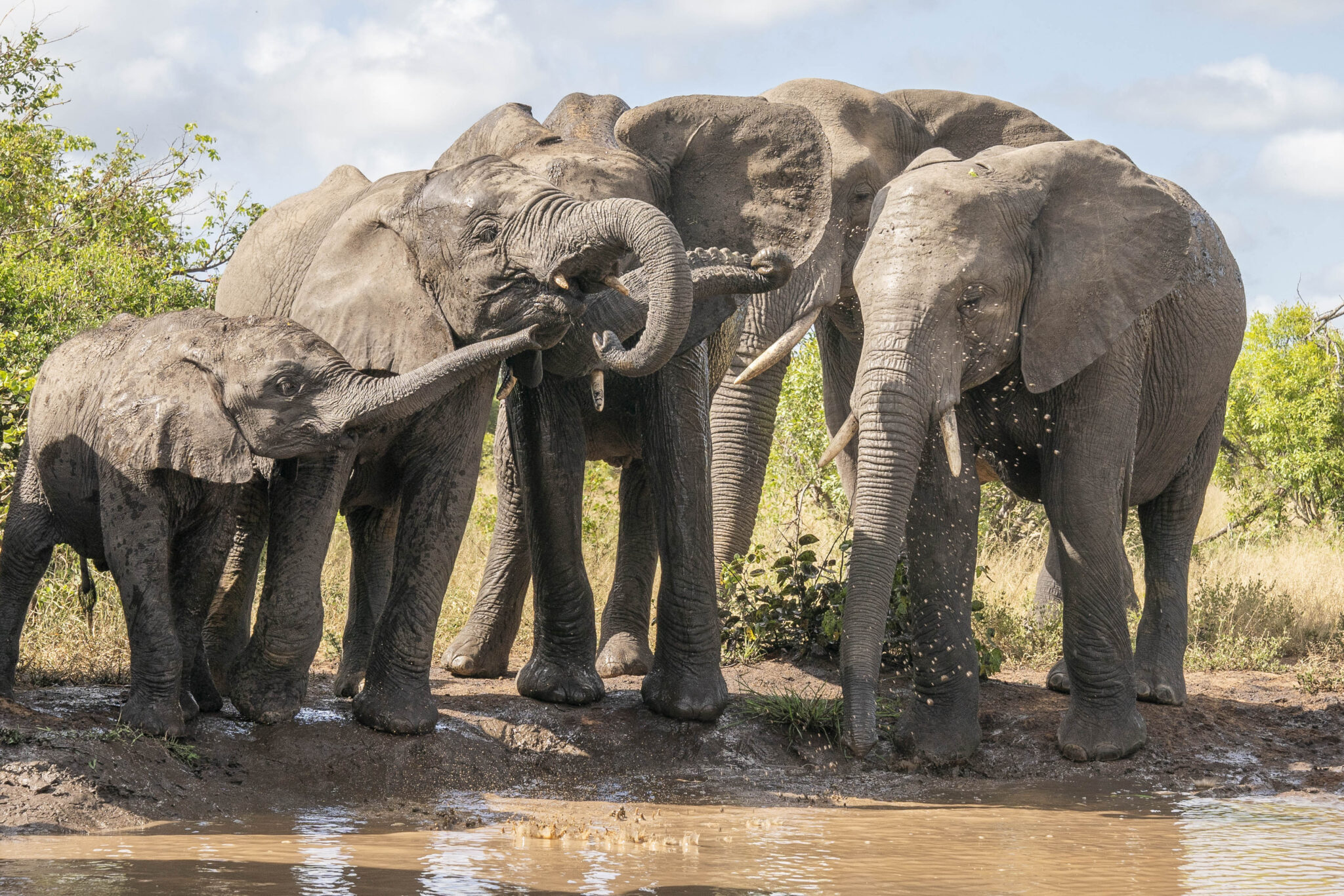 What Months Are The Best For a Safari In Kruger