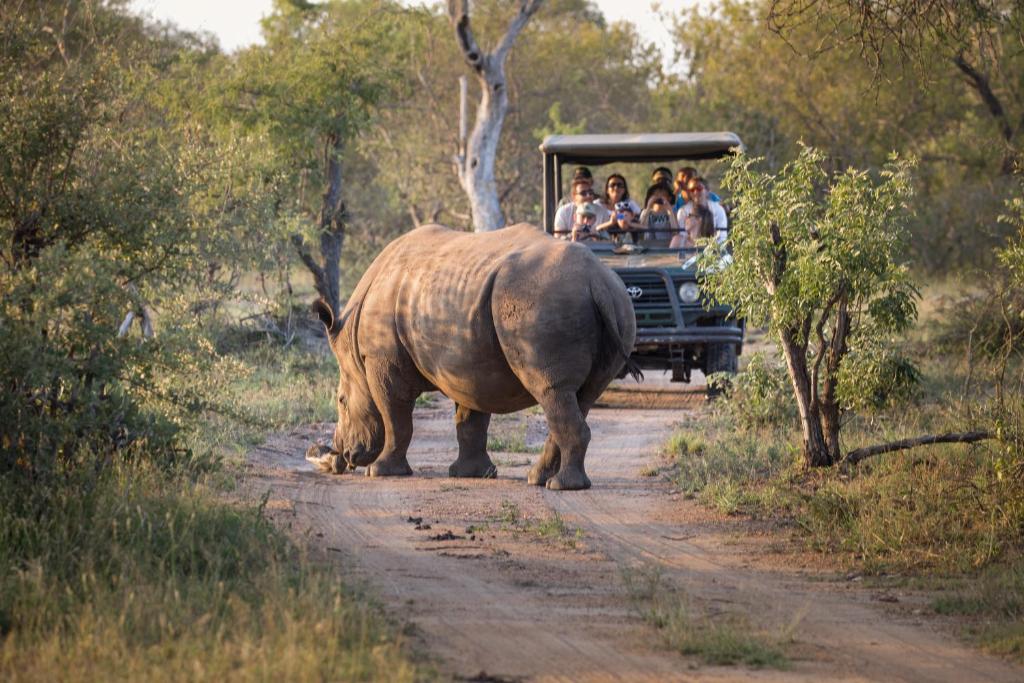 Kruger-game-Drive-Safari-Vehicle