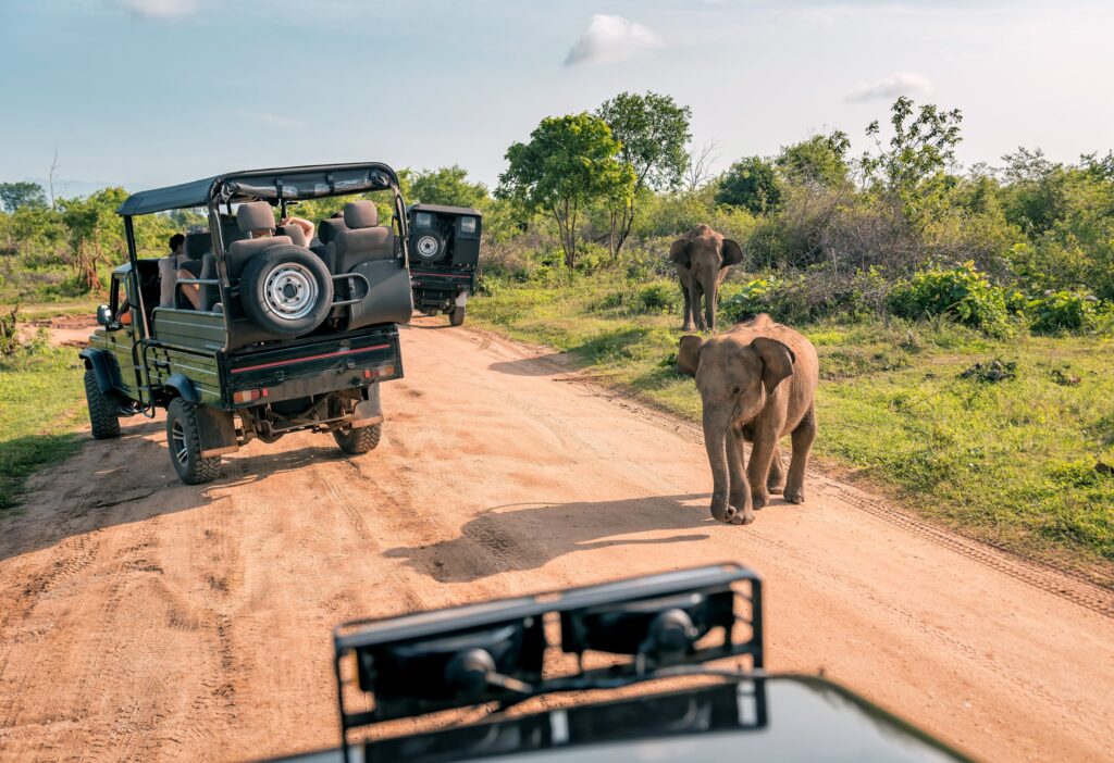 Best Gates to enter the Kruger National Park