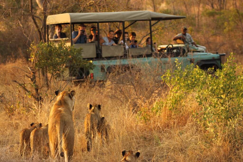 Avoid Tourist mistakes