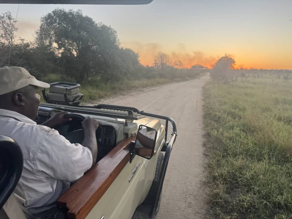 Road Conditions Self-Drive Visitors Can Expect in Kruger
