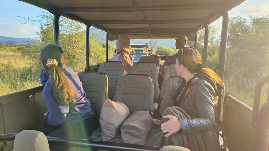 Self drive vs guided safaris