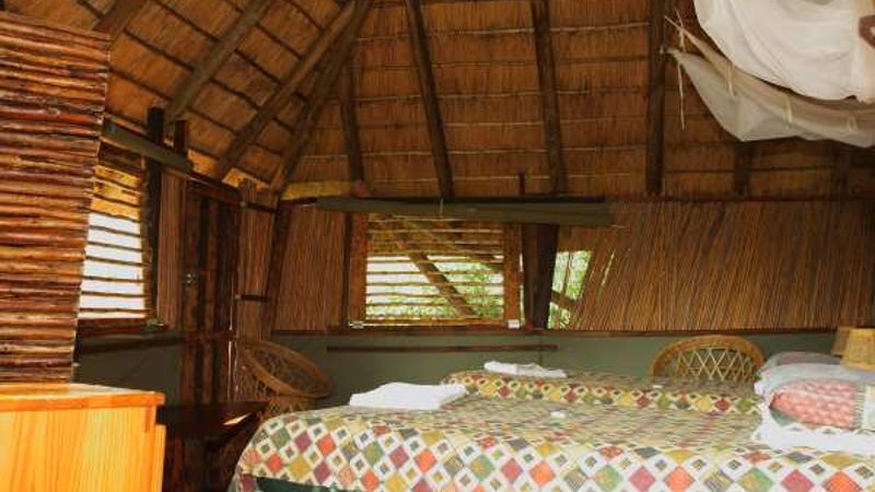 6 Day Kruger Treehouse Safari