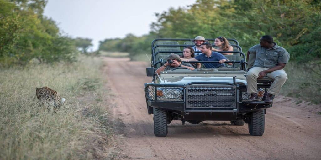 Road Conditions Self-Drive Visitors Can Expect in Kruger