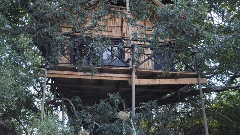Treehouse Kruger Safaris