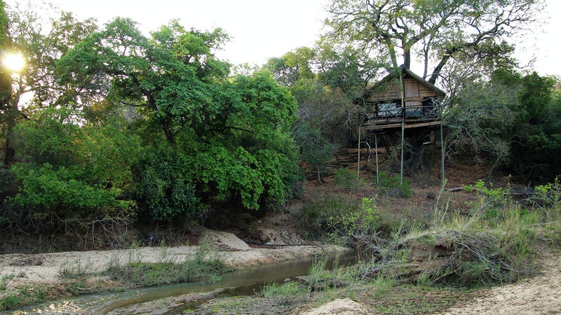 Treehouse