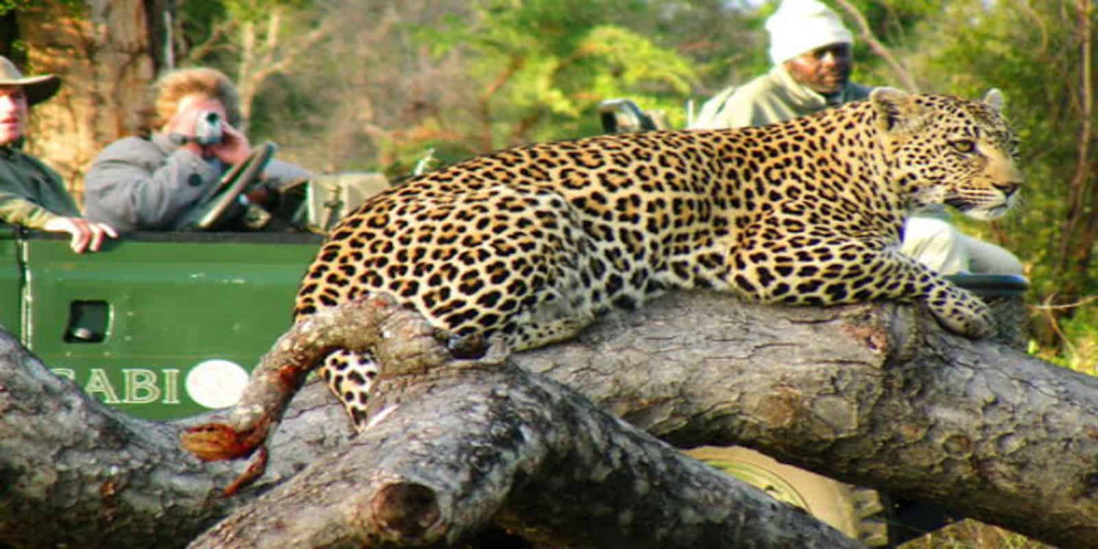 Kruger vs the sabi sands